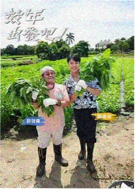 花儿与少年 丝路季